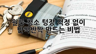 ✨원룸 청소✨ 텅장💸 걱정 없이 ✨반짝반짝✨ 만드는 비법!